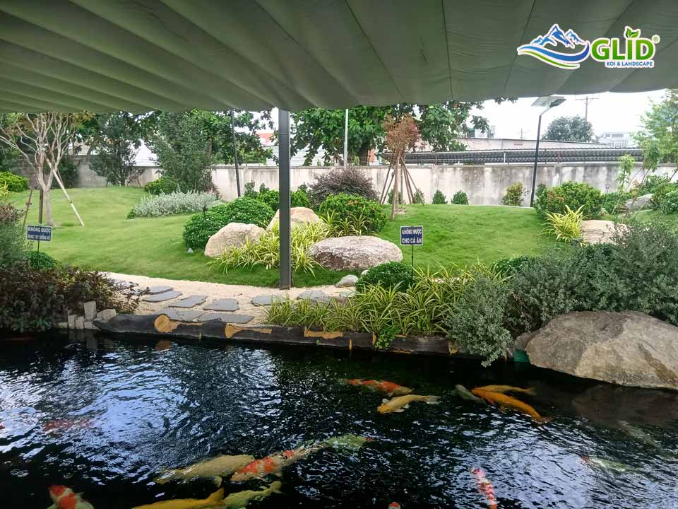Hồ cá koi có hệ lọc chuẩn